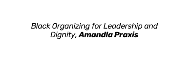 Black Organizing for Leadership and Dignity Amandla Praxis